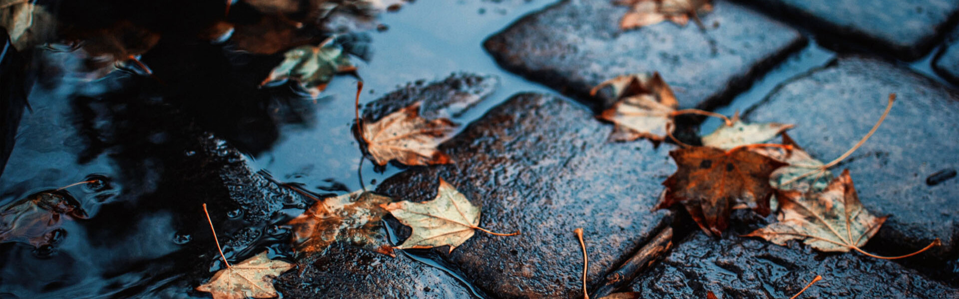 biztonságos vezetés esőben, vezess biztonságosan