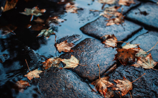 Így vezess biztonságosan az esőben